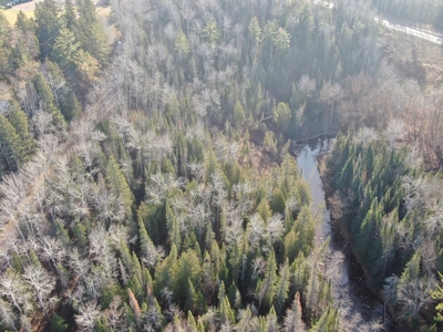 Douglas County WI Single Parcel Real Estate Online Auction - image 34