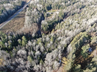 Douglas County WI Single Parcel Real Estate Online Auction - image 6