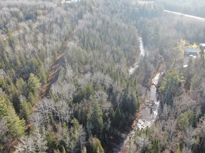 Douglas County WI Single Parcel Real Estate Online Auction - image 28