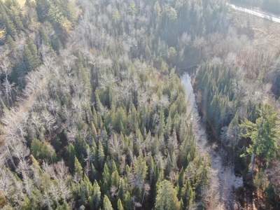 Douglas County WI Single Parcel Real Estate Online Auction - image 33