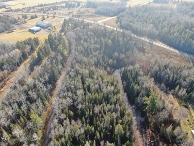 Douglas County WI Single Parcel Real Estate Online Auction - image 22