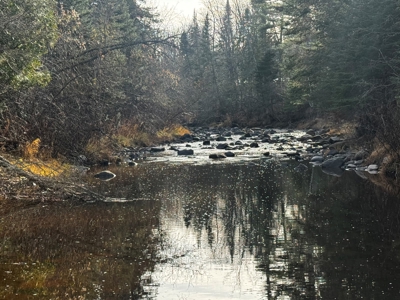 Douglas County WI Single Parcel Real Estate Online Auction - image 3