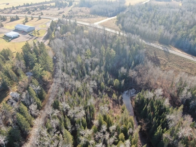 Douglas County WI Single Parcel Real Estate Online Auction - image 24