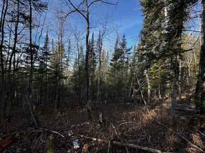 Douglas County WI Single Parcel Real Estate Online Auction - image 43