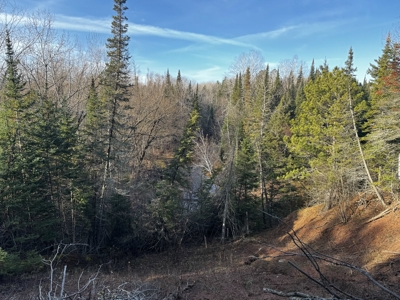 Douglas County WI Single Parcel Real Estate Online Auction - image 16