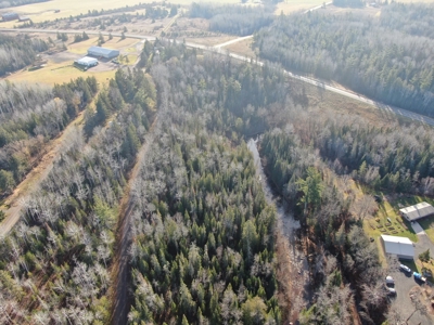 Douglas County WI Single Parcel Real Estate Online Auction - image 20