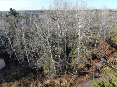 Douglas County WI Single Parcel Real Estate Online Auction - image 40
