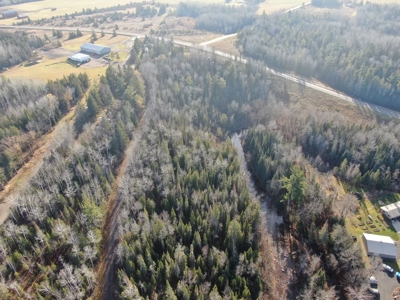 Douglas County WI Single Parcel Real Estate Online Auction - image 21