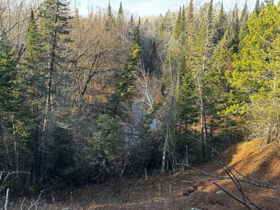 Douglas County WI Single Parcel Real Estate Online Auction - image 17
