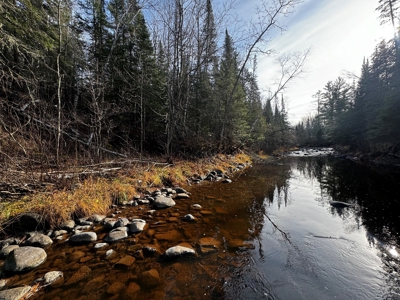 Douglas County WI Single Parcel Real Estate Online Auction - image 47