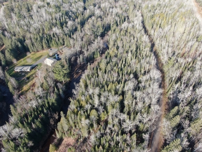 Douglas County WI Single Parcel Real Estate Online Auction - image 9
