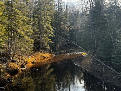 Douglas County WI Single Parcel Real Estate Online Auction - image 41