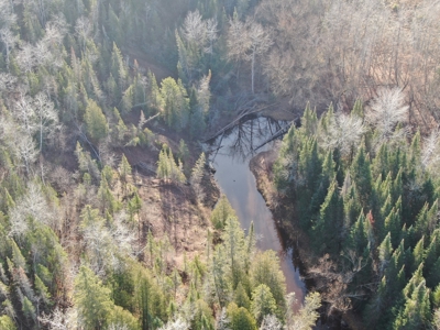 Douglas County WI Single Parcel Real Estate Online Auction - image 35