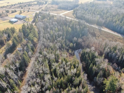 Douglas County WI Single Parcel Real Estate Online Auction - image 23
