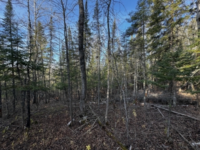 Douglas County WI Single Parcel Real Estate Online Auction - image 44