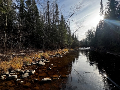 Douglas County WI Single Parcel Real Estate Online Auction - image 1
