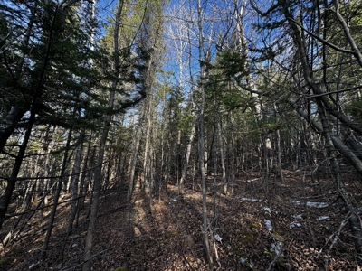 Douglas County WI Single Parcel Real Estate Online Auction - image 13