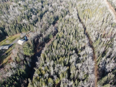 Douglas County WI Single Parcel Real Estate Online Auction - image 10
