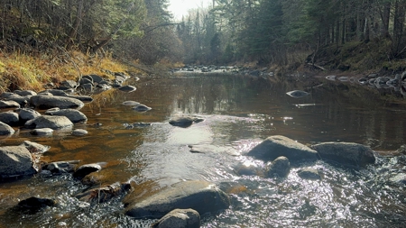 Douglas County WI Single Parcel Real Estate Online Auction - image 46