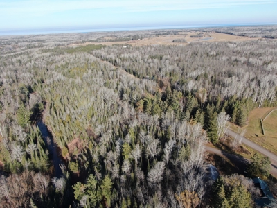 Douglas County WI Single Parcel Real Estate Online Auction - image 27