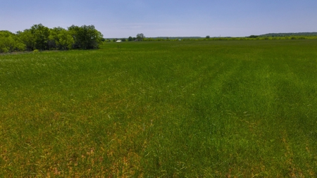 North Texas Hill Country Residential Land in Montague County - image 6