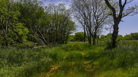 North Texas Hill Country Residential Land in Montague County - image 4