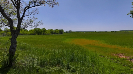 North Texas Hill Country Residential Land in Montague County - image 5