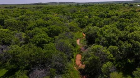 North Texas Hill Country Residential Land in Montague County - image 14