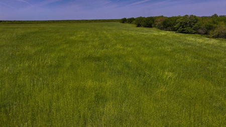 North Texas Hill Country Residential Land in Montague County - image 10