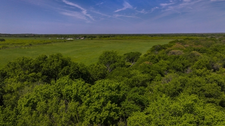 North Texas Hill Country Residential Land in Montague County - image 7