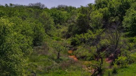 North Texas Hill Country Residential Land in Montague County - image 11