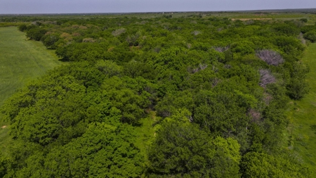 North Texas Hill Country Residential Land in Montague County - image 8