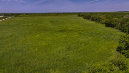 North Texas Hill Country Residential Land in Montague County - image 10