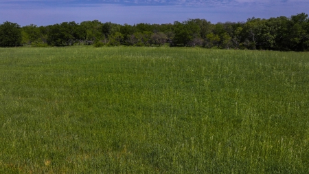 North Texas Hill Country Residential Land in Montague County - image 4