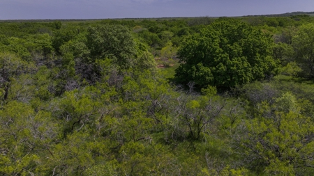 North Texas Hill Country Residential Land in Montague County - image 12