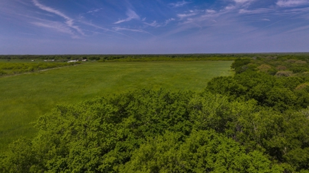North Texas Hill Country Residential Land in Montague County - image 9
