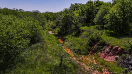 North Texas Hill Country Residential Land in Montague County - image 13