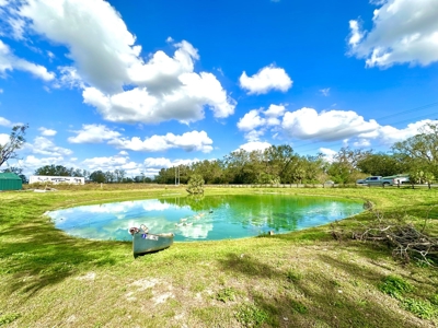 Land For Sale In Lafayette County!!! - image 9