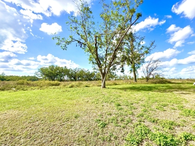 Land For Sale In Lafayette County!!! - image 20