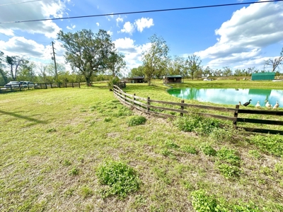 Land For Sale In Lafayette County!!! - image 4
