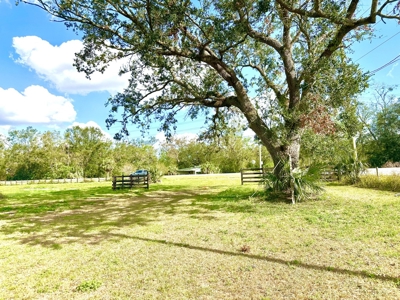 Land For Sale In Lafayette County!!! - image 24