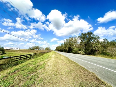 Land For Sale In Lafayette County!!! - image 6