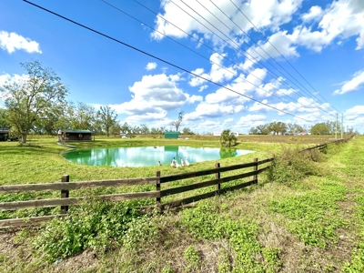 Land For Sale In Lafayette County!!! - image 5