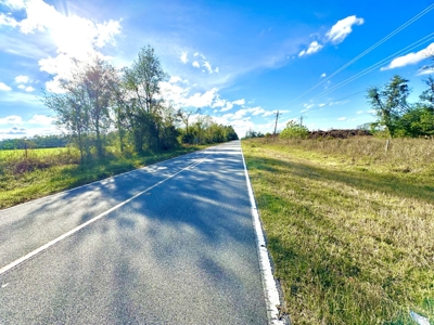 Land For Sale In Lafayette County!!! - image 30