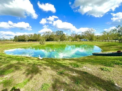 Land For Sale In Lafayette County!!! - image 11