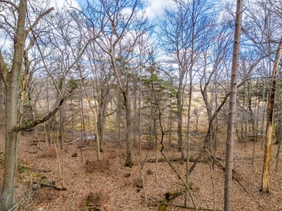 72-acre property alongside the Neenah Creek Marquette County - image 49
