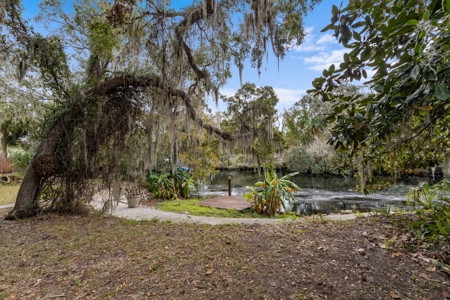 Withlacoochee River - Waterfront Home For Sale - Florida - image 10
