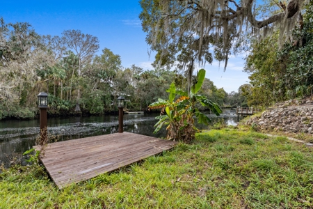 Withlacoochee River - Waterfront Home For Sale - Florida - image 9