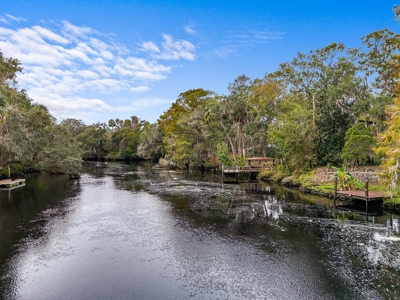 Withlacoochee River - Waterfront Home For Sale - Florida - image 38