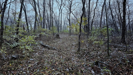 52+/- Acre Property Located on Lucky Lane in Crawford County - image 31